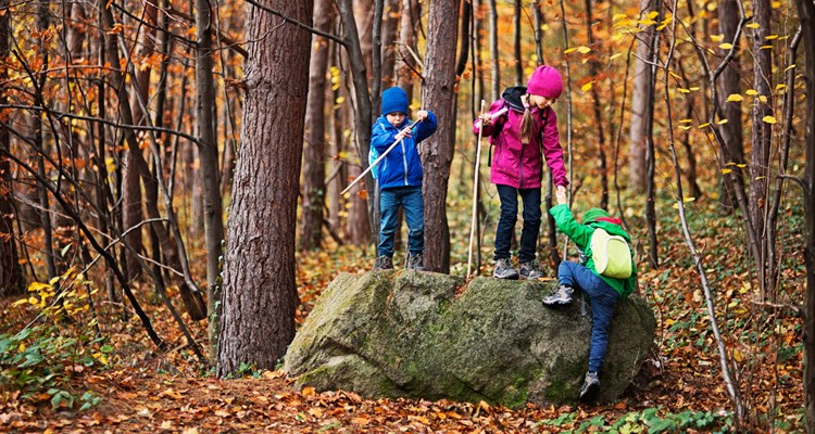 De 5 mooiste herfstplekken in Nederland voor een weekendje weg