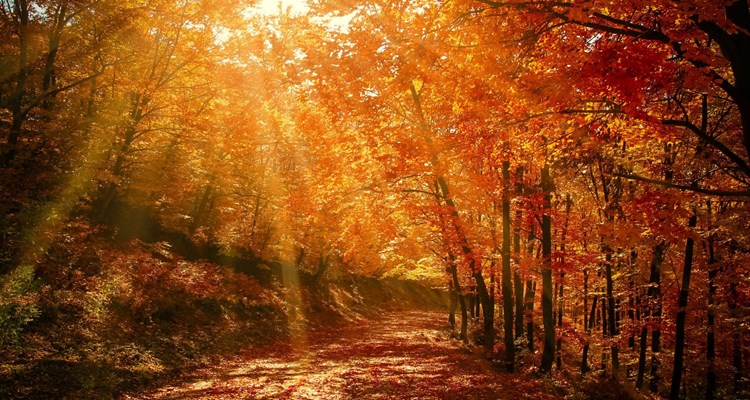 Herfst: het seizoen van rust, gezelligheid en eropuit trekken